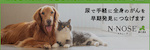 N-NOSEあにまる
