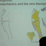 TTA