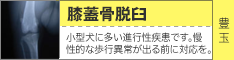 膝蓋骨脱臼