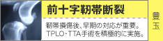 前十字靭帯断裂