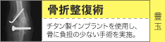 骨折整復術