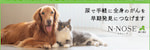 N-NOSEあにまる