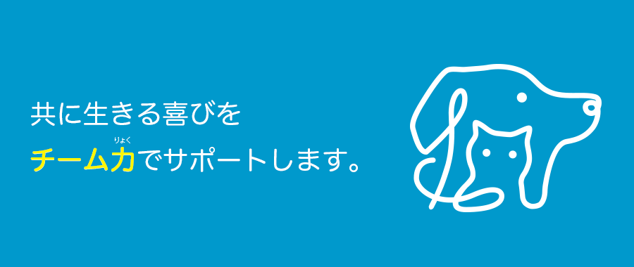 pict_new.png